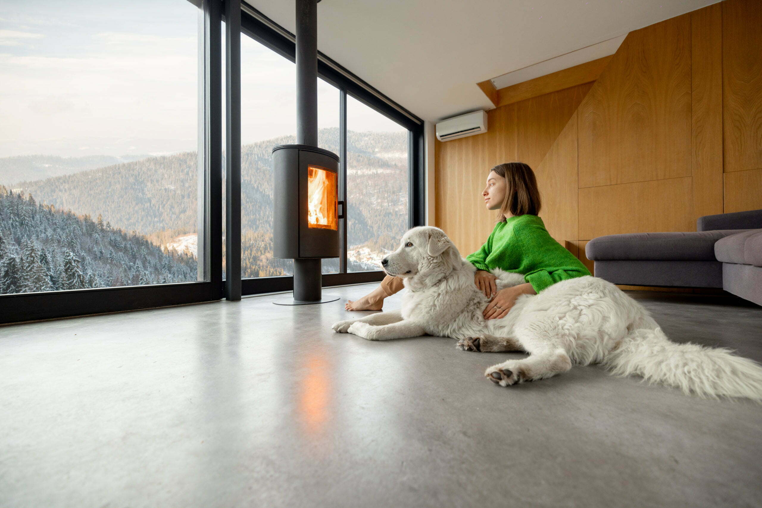 a person and a dog sitting on the floor in front of a fireplace