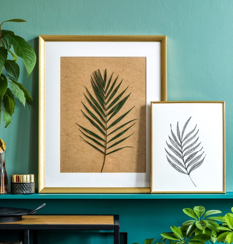 a framed picture of a plant